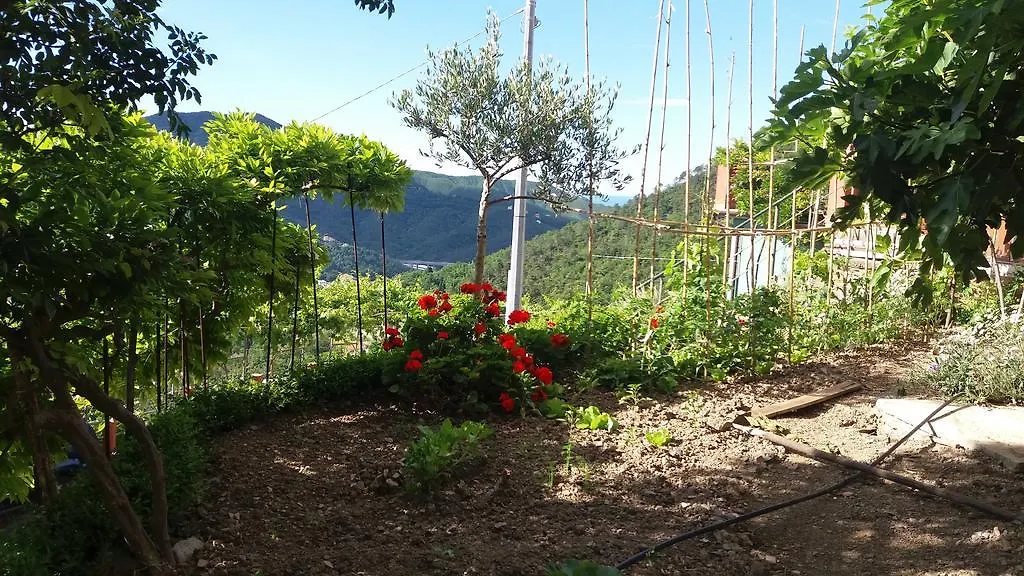 Apartmán Olivella Caminata N 41G Casarza Ligure